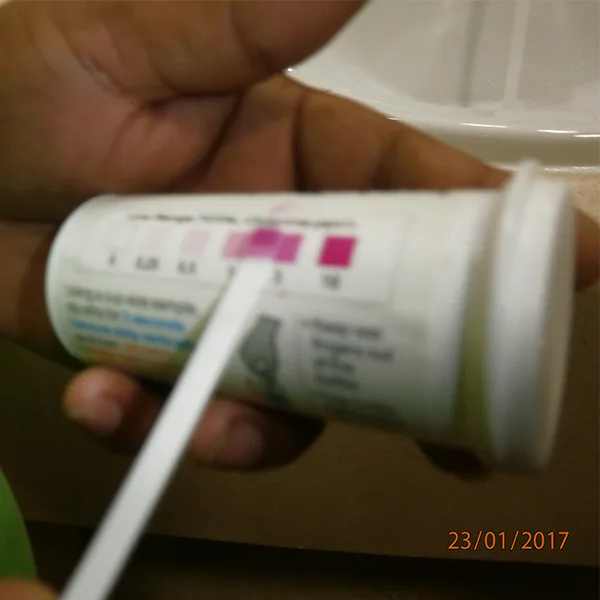 Pipeline Disinfection Sampling (1)